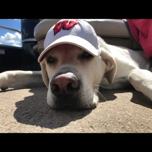 Meet your Posher, Tina